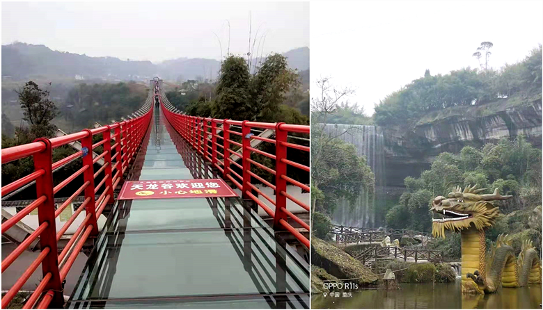 微信图片_20200123202441_副本.jpg