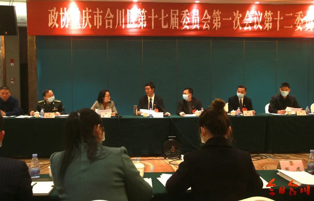 聚焦合川两会丨周立友参加区政协十七届一次会议分组讨论，刘洪会上发言